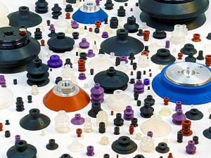 Anver : Suction Cups