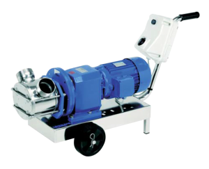 RID : Pumps with gearmotor