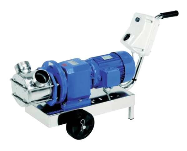 RID : Pumps with gearmotor