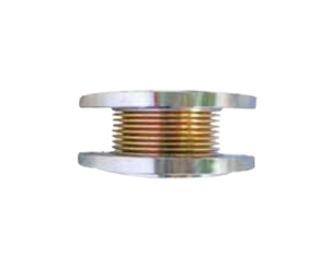 Shinko Vacuum Part