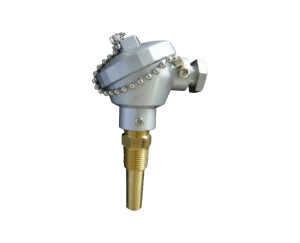 Temperature Switch