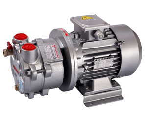 Monoblock Vacuum Pumps