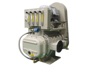 Anlet CT4-LE dry roots vacuum pump