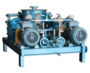 Duplex Water Ring Vacuum Pump System
