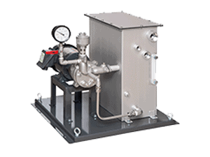 Vacuum Pump System