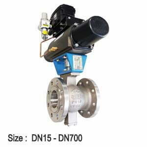 Ball Valve : RV Series