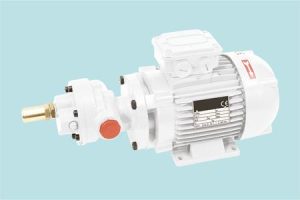 GEAR : Selfpriming volumetric gear electric pumps